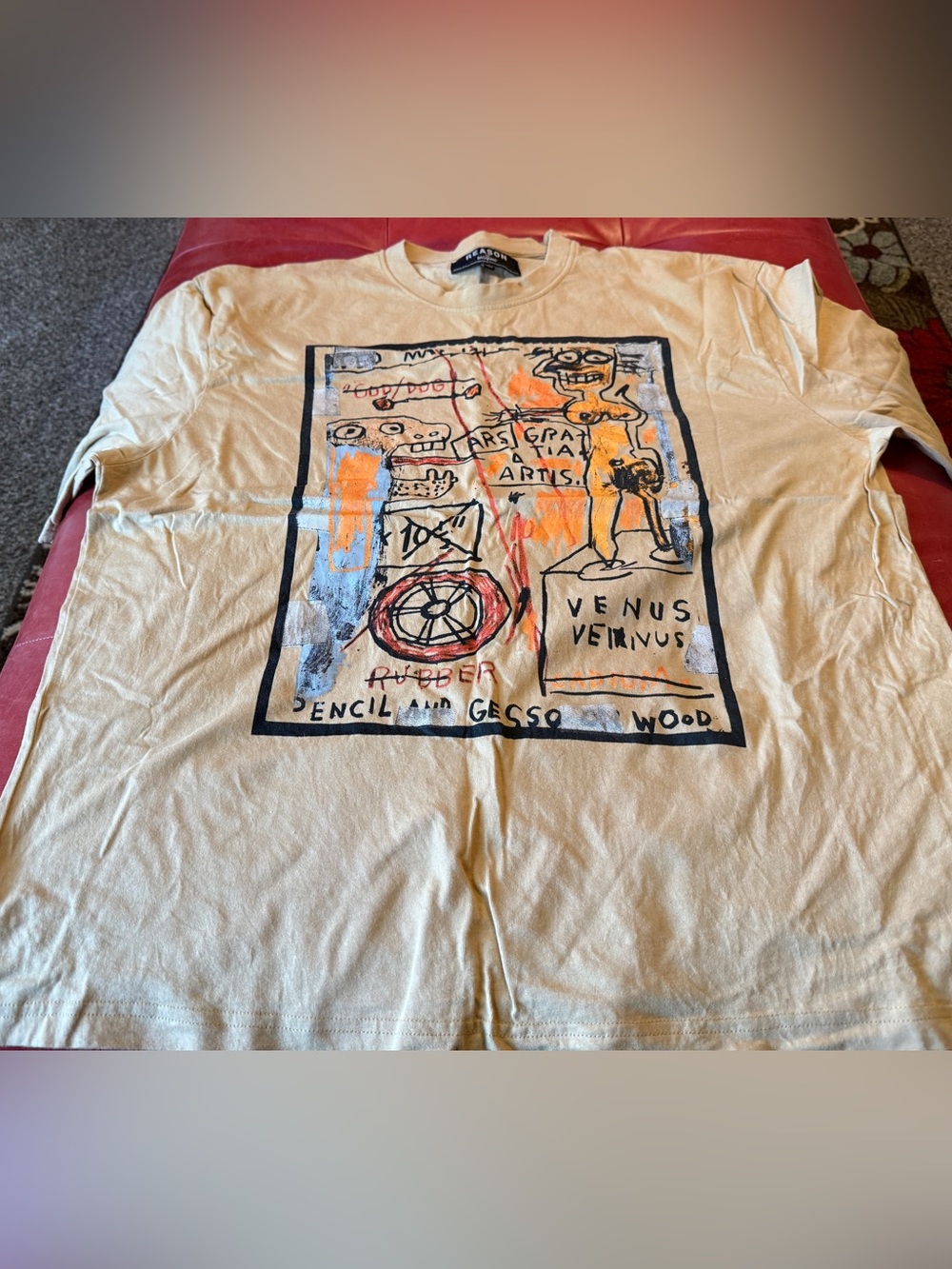 REASON BASQUAT Graphic Art Print T-Shirt size XXL
